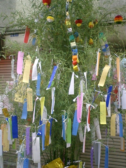 Boom met gekleurde linten, modern Tanabata Festival Japan